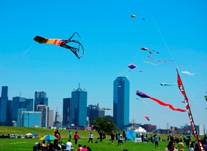 Kites and the view from Trammell Crow Park