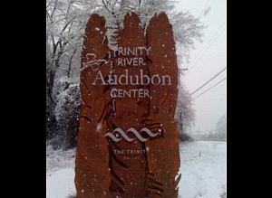 Snow! Trinity River Audubon Center