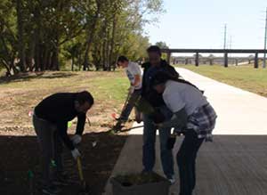 VHA Novation volunteers worked in teams to dig holes, place terra-sorb in each hole, and then placed the plant.
